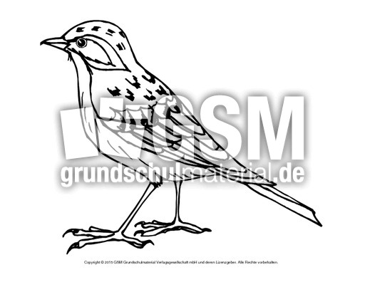 Ausmalbild-Lerche.pdf